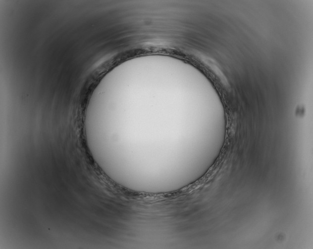 X0000103321015200809050954