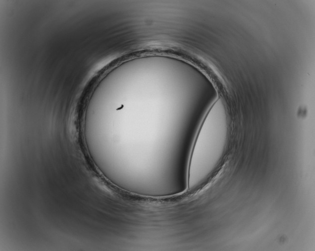 X0000103321018200809050954