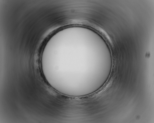 X0000103321019200809050954