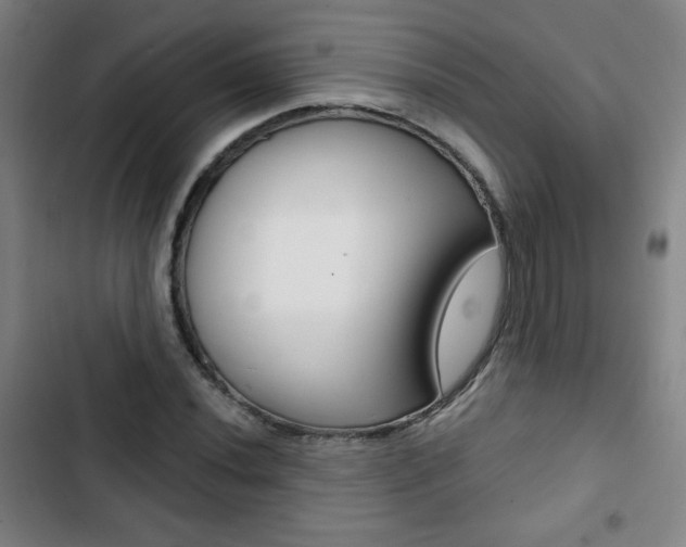 X0000103321020200809050954