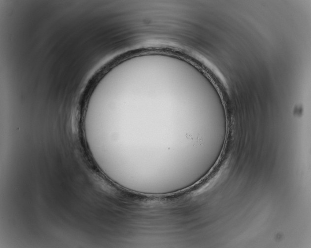 X0000103321021200809050954
