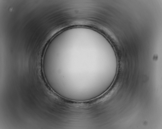 X0000103321025200809050954