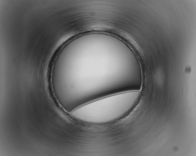 X0000103321026200809050954