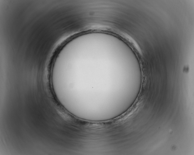 X0000103321027200809050954