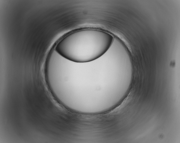 X0000103321030200809050954