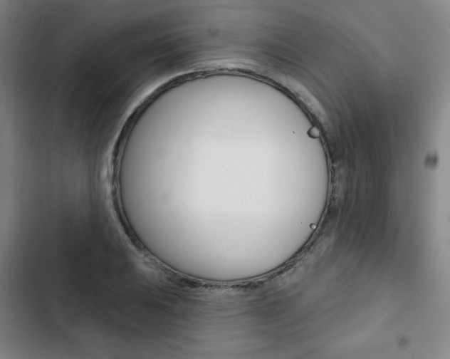 X0000103321031200809050954