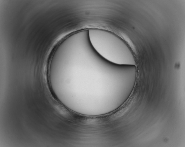 X0000103321035200809050955