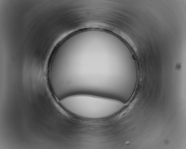 X0000103321037200809050955