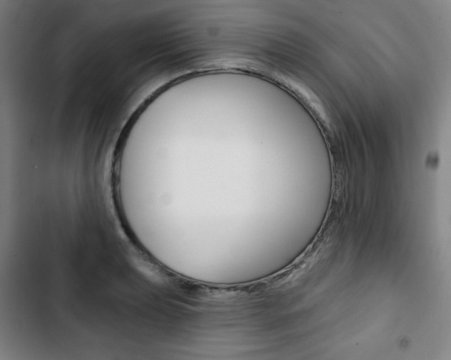 X0000103321039200809050955