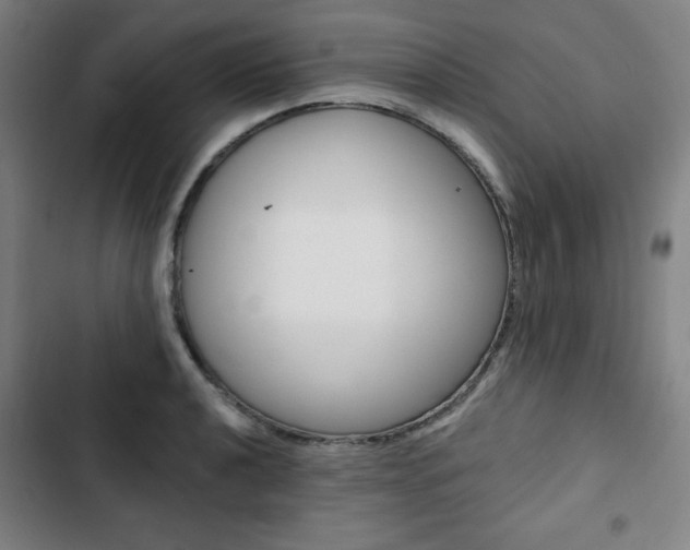 X0000103321040200809050955