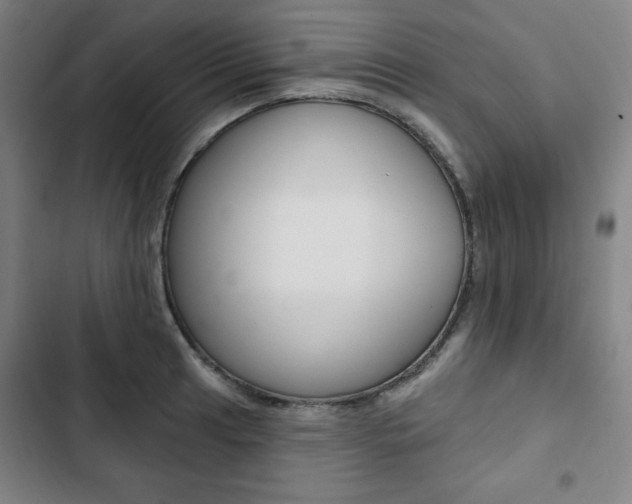 X0000103321041200809050955