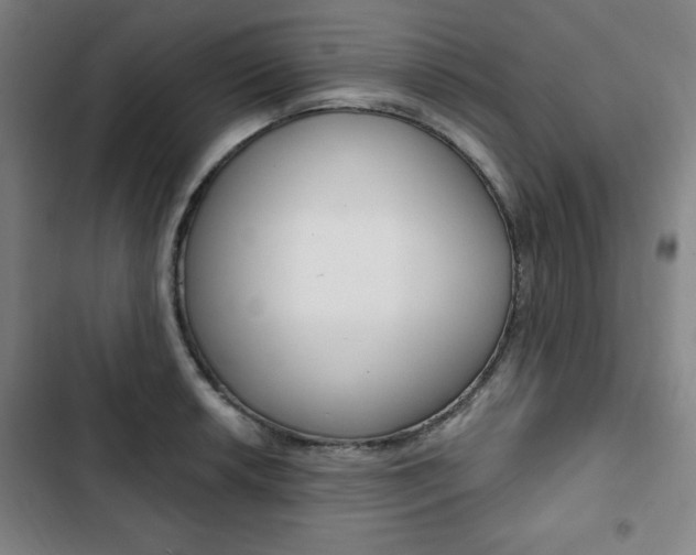 X0000103321042200809050955