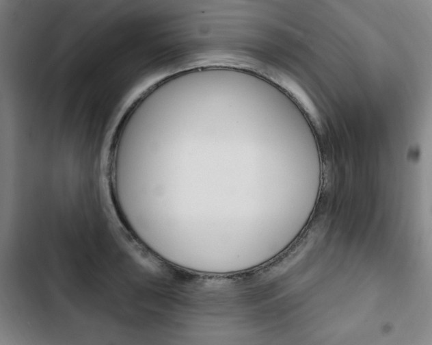 X0000103321043200809050955