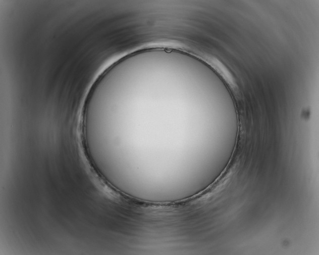 X0000103321044200809050955