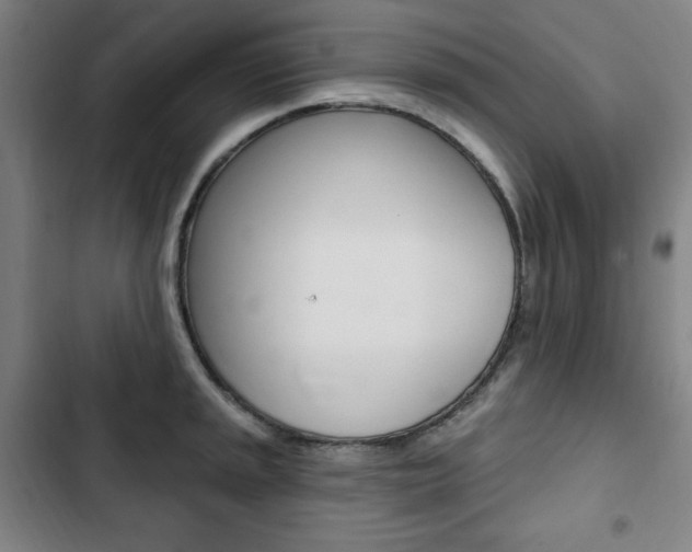 X0000103321045200809050955