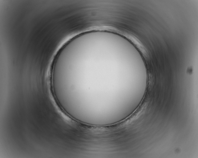 X0000103321046200809050955