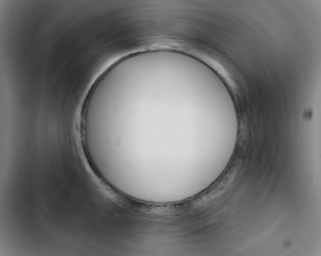 X0000103321047200809050955