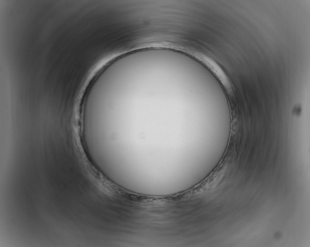 X0000103321051200809050955
