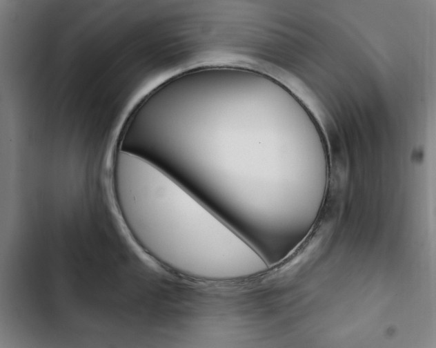 X0000103321053200809050955