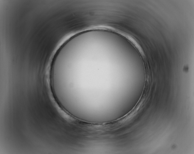 X0000103321054200809050955
