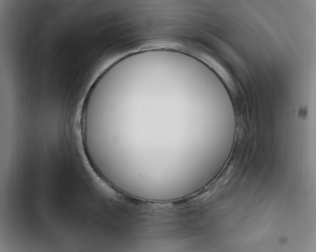 X0000103321055200809050955