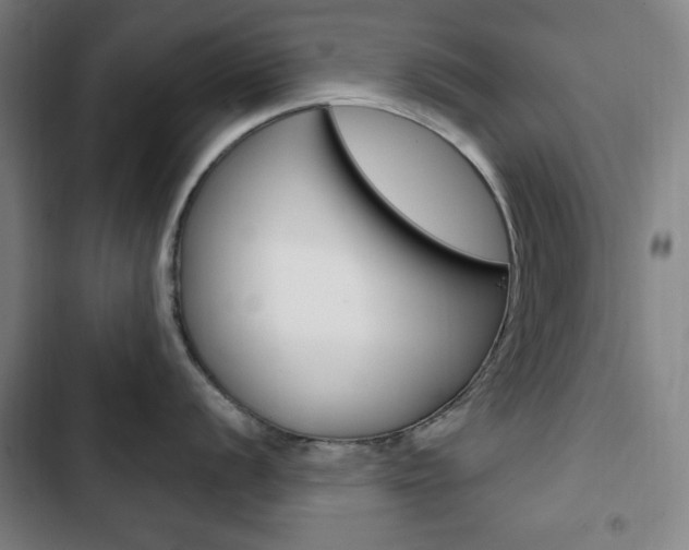 X0000103321056200809050955