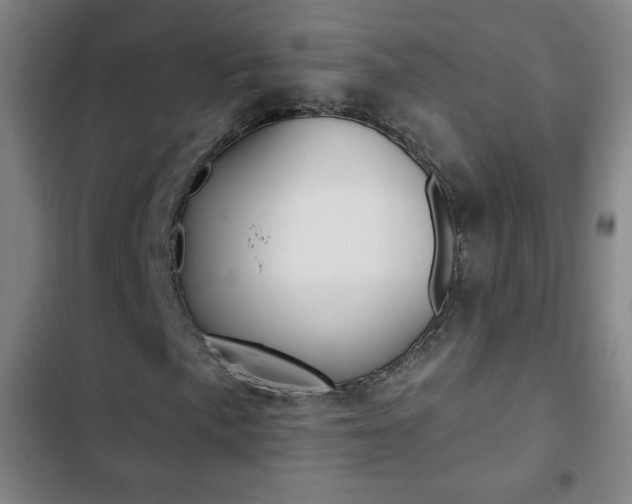 X0000103321057200809050954