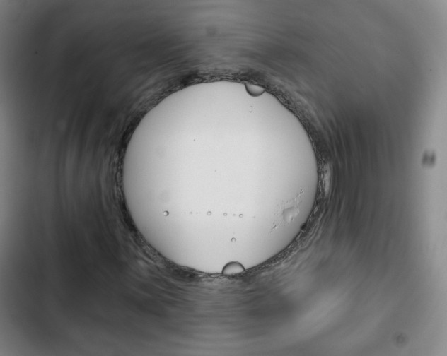 X0000103321059200809050954