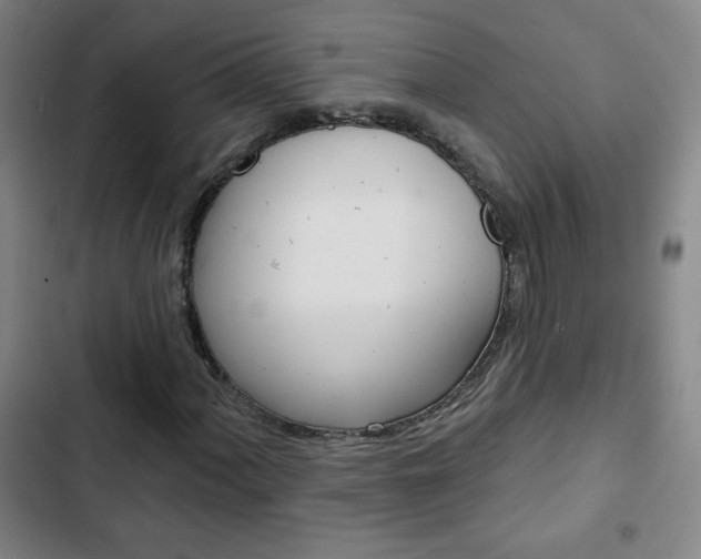 X0000103321060200809050954
