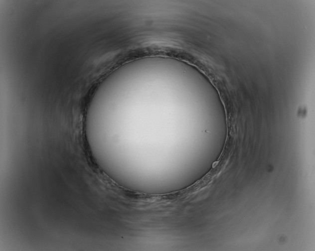 X0000103321061200809050954