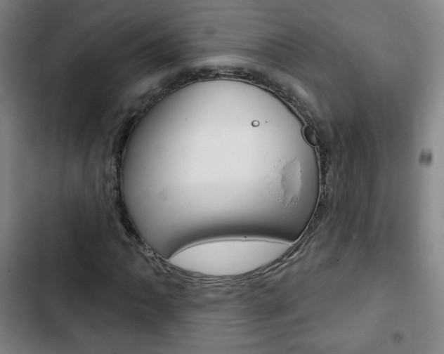 X0000103321062200809050954