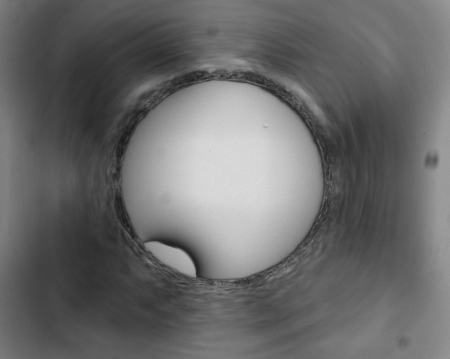 X0000103321063200809050954
