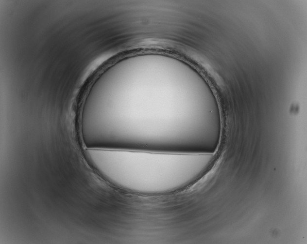 X0000103321066200809050954