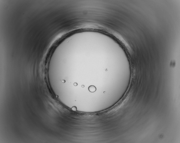 X0000103321067200809050954