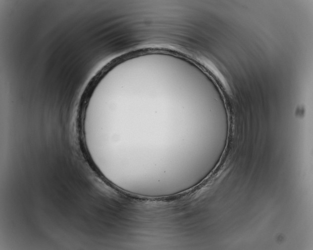 X0000103321068200809050954