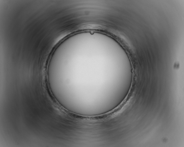 X0000103321073200809050954