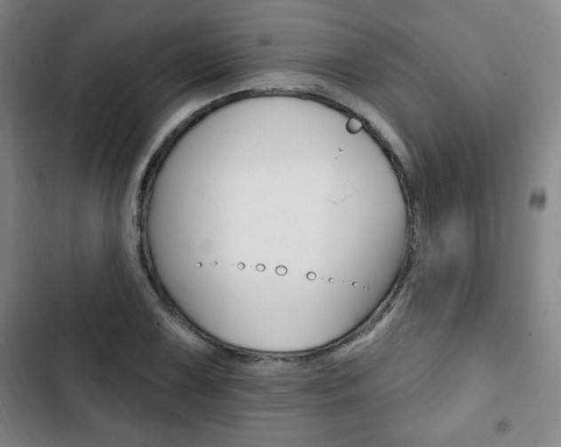X0000103321075200809050954