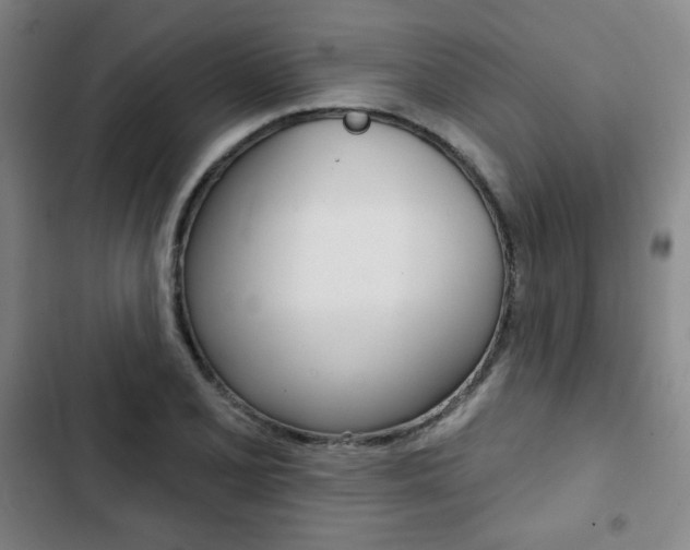 X0000103321077200809050954