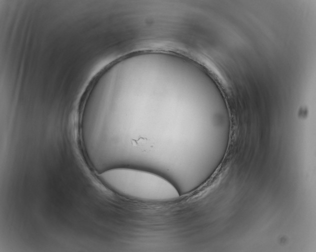 X0000103321079200809050954