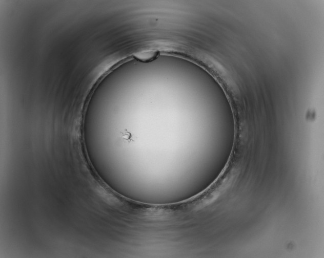 X0000103321081200809050954
