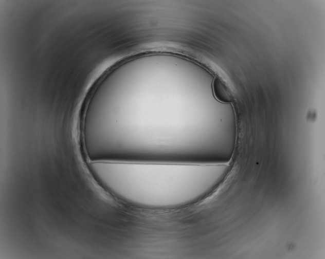 X0000103321082200809050954