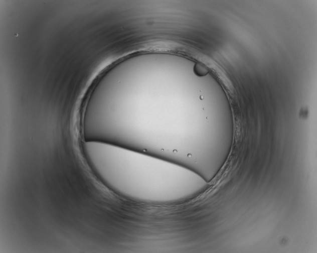 X0000103321083200809050954