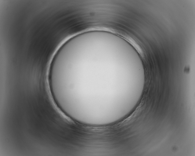 X0000103321084200809050954