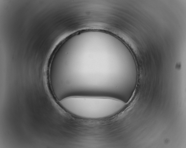 X0000103321085200809050954