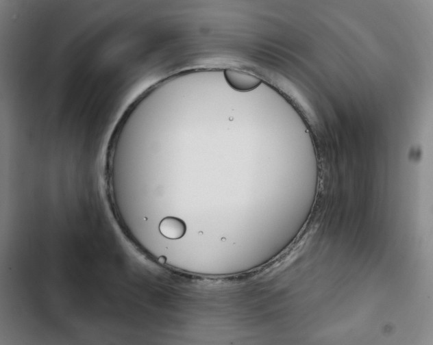 X0000103321087200809050954