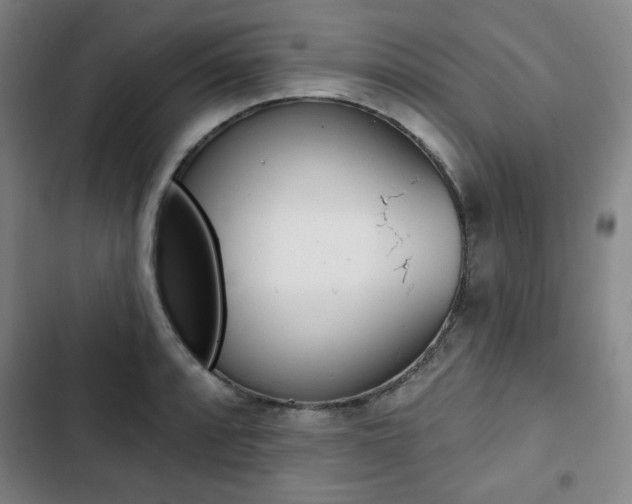 X0000103321088200809050954