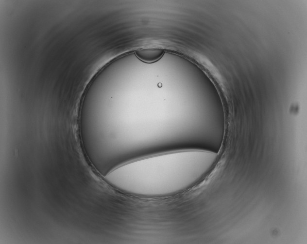 X0000103321089200809050954