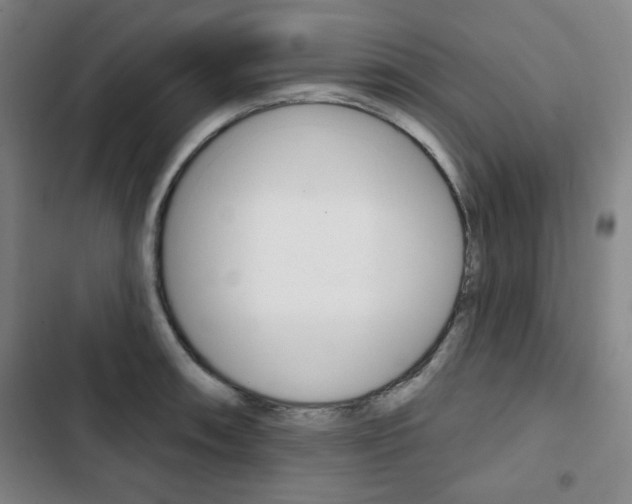 X0000103321090200809050954