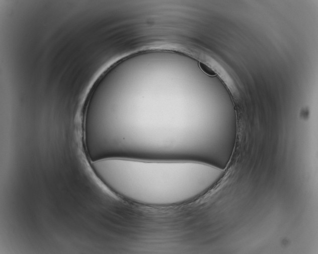 X0000103321092200809050953