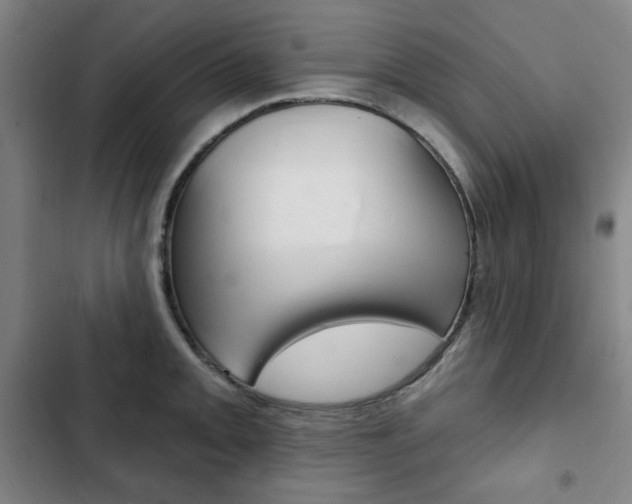 X0000103321093200809050953